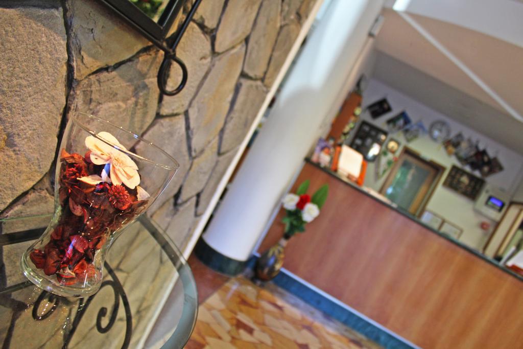 Hotel New Primula ريميني المظهر الخارجي الصورة